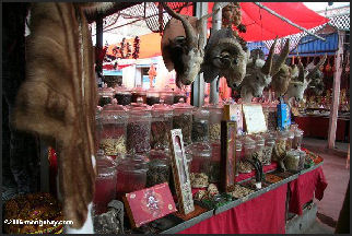 20080217-Kashgar market Dried animal parts.jpg